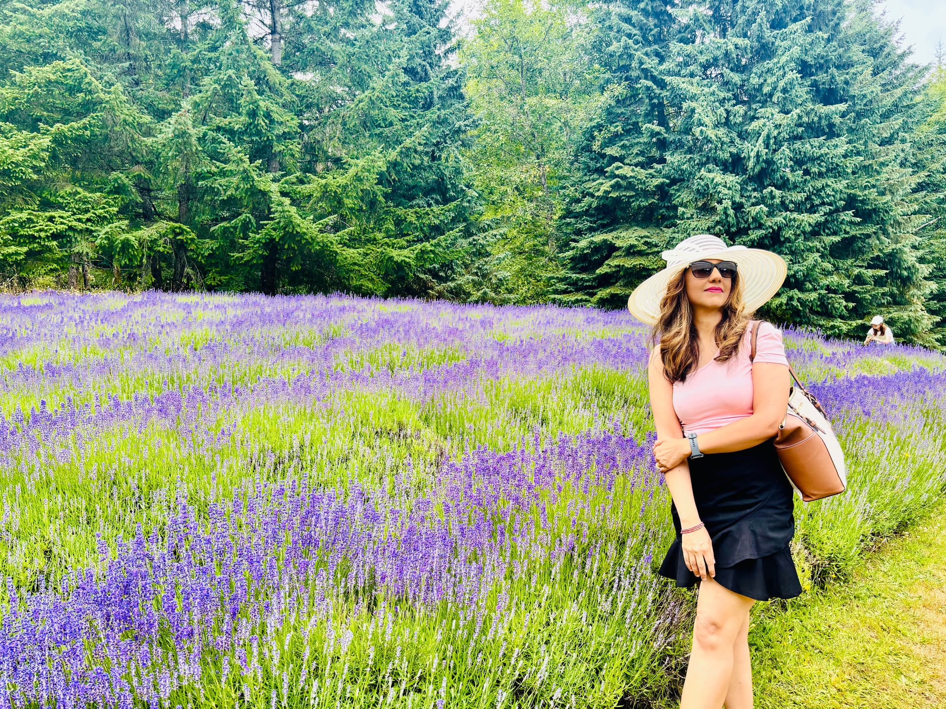 Artwork by Naureen Ali